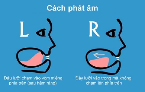 Sự khác nhau giữa âm "r" và "l" trong tiếng Anh